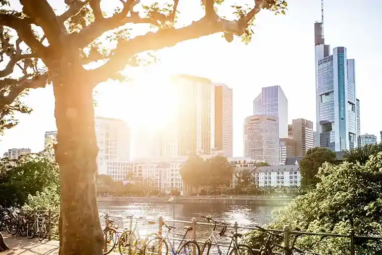 Bild Zwischen Palmen und Skyline